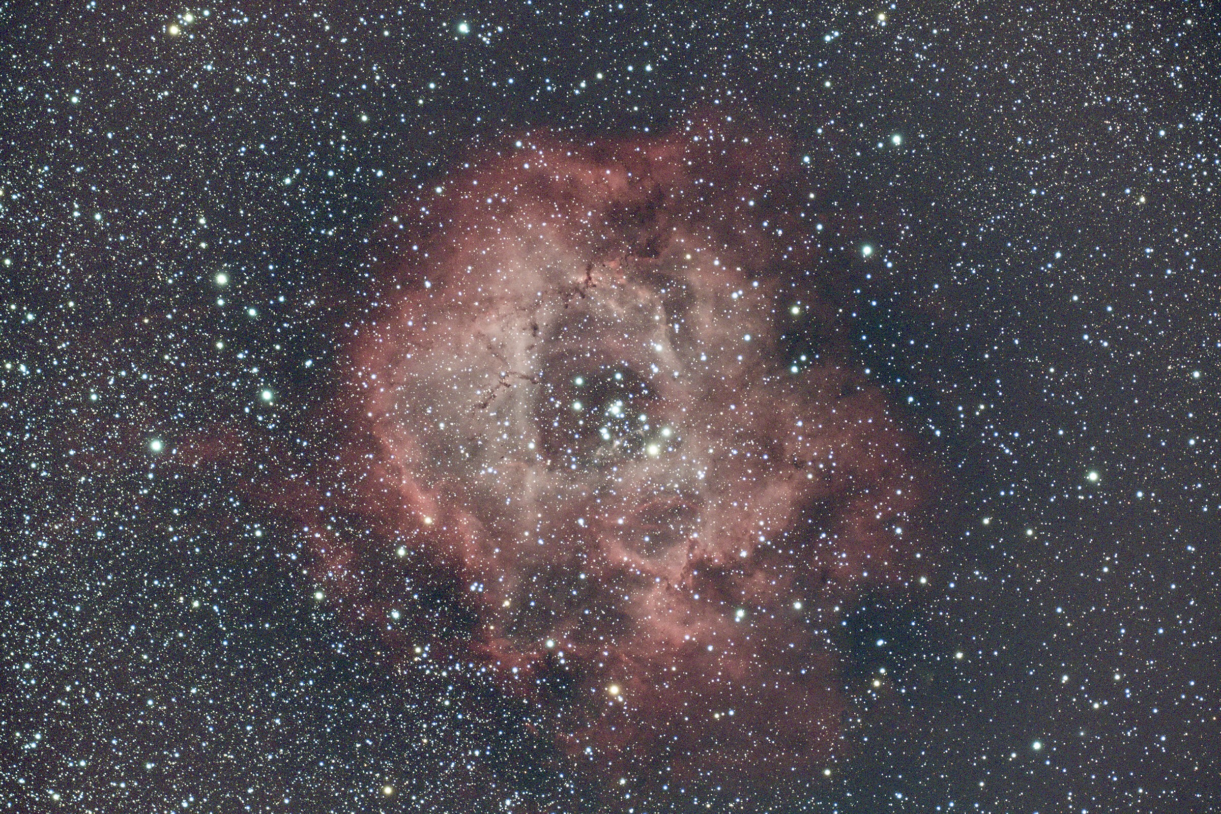 バラ星雲を撮る　